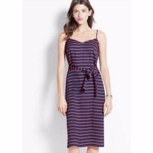 Ann Taylor Red & Navy Nautical Rope Print Dress